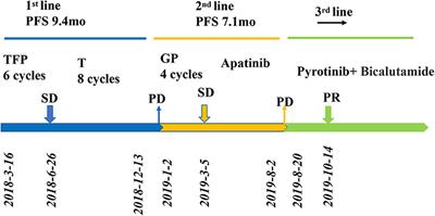 Efficacy of Pyrotinib in HER2-Overexpressing Salivary Duct Carcinoma With Lung Metastasis: A Case Report